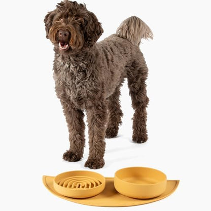 Slow Feeder Dog Bowl - Silicone Dog Bowl, Medium, 7.5" x 1.5" - Honey - Image 5