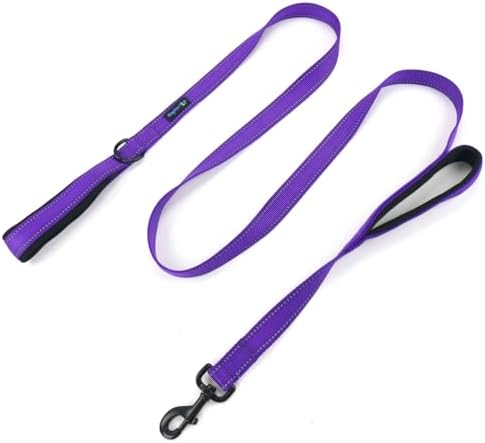 Wagtime Club Heavy Duty Double Handle Dog Leash for Large Medium Small Dogs by Waggin+Tails