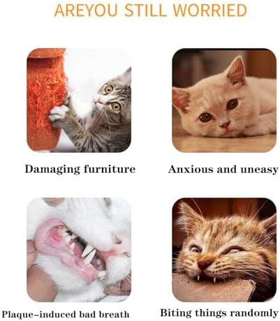 Cat Toys Pillows, Soft and Durable Catnip Toys with Crinkle Sound Inside， - Image 4