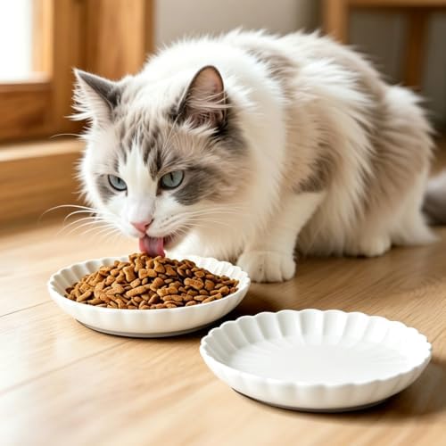 Elevated Cat Bowls with Bamboo Stand, Ceramic Raised Cat Bowl Set of 2, 5.9 Inch Whisker Friendly Anti Vomiting Cat Food Bowls for Dry and Wet Food - Image 5