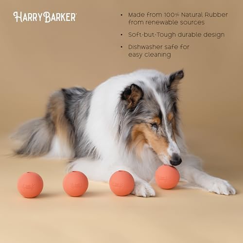 Harry Barker Rubber Balls and Rubber Chew Stick for Dogs - Image 2