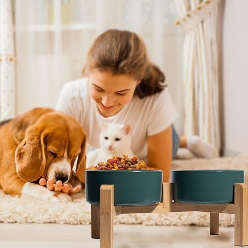 Elevated Ceramic Dog Bowl, 3.6 Cups Dog Food and Water Bowl Set with Stand - Image 6