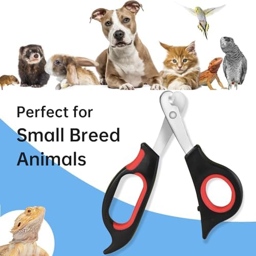 Bearded Dragon Nail Clippers with Precise Angled Edges - Image 4