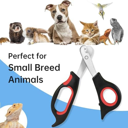 Bearded Dragon Nail Clippers with Precise Angled Edges - Image 4