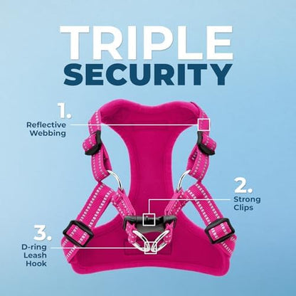 Best Pet Supplies Voyager Adjustable Step-in Flex Breathable Mesh Dog Harness for Small Medium Large Dogs Leash Set (Fuchsia), M - Image 3