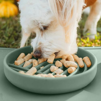 Slow Feeder Dog Bowl - Silicone Dog Bowl, Small, 6" x 1.25" - Spruce - Image 5