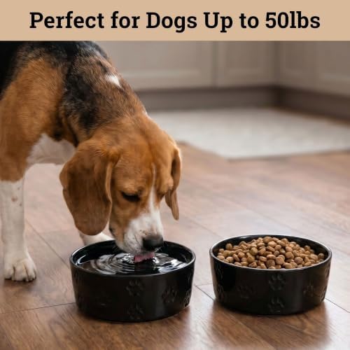 Ceramic Dog Bowl Set of 2 w/ Anti-Skid Base 6.5"W x 2.5"H, 3.8 Cup Capacity - Image 3