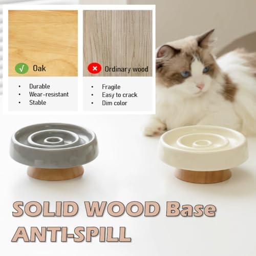 Ceramic Cat Slow Feeder, Raised Slow Feeder Cat Bowl, Anti Vomiting and Whisker Friendly Kitty Dish, Elevated Puppy Kitten Food Bowl for Dry and Wet Food (White) - Image 6