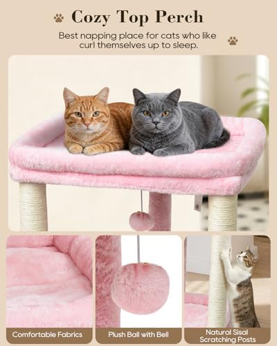 SYANDLVY Small Cat Tree for Indoor Cats with 2 Levels Perch Platforms - Image 4