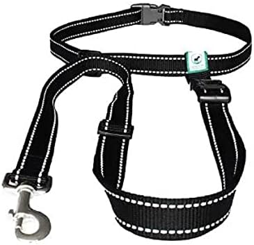 Caldwell's Pet Supply Co. Hands-Free Dog Leash, Adjustable Waist Leash for Dog Walking, Non-Bungee, Hands Free Harness, Durable and Versatile Waist Belt Leashes, Cross Body for Dogs (26" - 47") by CaldwellsPetSupplyCo