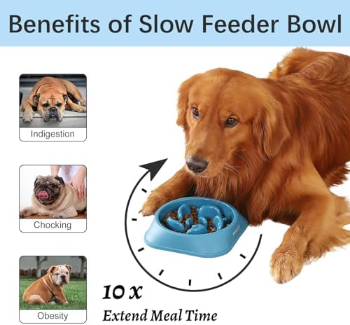 MateeyLife 2-Pack Slow Feeder Dog Bowls, 2 Cups, Dog Puzzle Feeder Bowl - Image 2