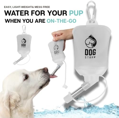 – The Ultimate Portable Water Solution for Dogs, 5oz Gray