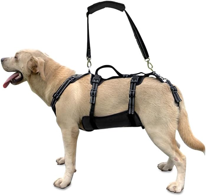 Coodeo Dog Lift Harness, Support & Recovery Sling, Pet Rehabilitation Lifts Vest Adjustable Breathable Straps for Old, Disabled, Joint Injuries, Arthritis, Paralysis Dogs Walk (Black,L) by Coodeo
