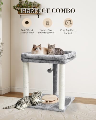 Small Cat Tree with Large Top Perch & Cat Ball Track Toy, Indoor Cat Tower - Image 3