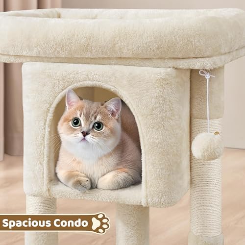 Yaheetech 23.5in Small Low-Profile Cat Tree Condo with Scratching Posts - Image 5