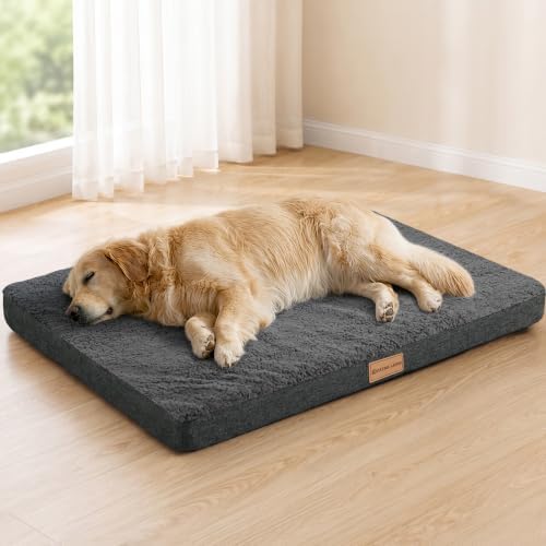 Patas Lague Orthopedic Large Dog Bed Pet Sofa Mat 48''X30'' Dark Grey by PatasLague