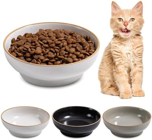 Cat Bowl 3 Pack, Pet Plate, Premium Ceramic Food Grade Pet Bowl Suitable for Dry and Wet Food, 5 in Feeding Indoor Cats, Kittens and Small Dogs, Dishwasher Safe (Black White Gray) by Unknown