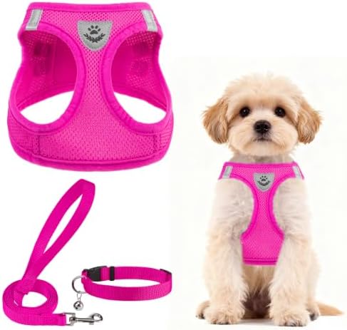 PUPTECK Dog Harness, Collar and Leash Set No Pull for Small Medium Sized by PUPTECK
