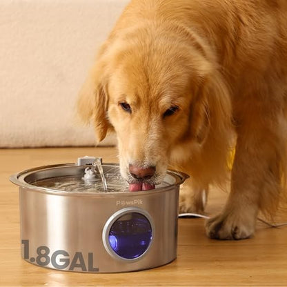 PawsPik Ultra-Quiet Stainless Steel Dog Water Fountain, 1.8-gal by PawsPik