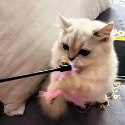 Cat Wand Toys 6 PCS Colorful Feather Wand with Bell Interactive Cat Toys - Image 5