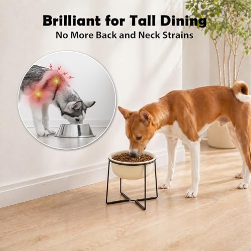Ceramic Elevated Dog Food Bowl - Heavyweight Feeding Bowl with Metal Stand - Raised Pet Dish for Medium and Larges Dogs - 5.8 Cups - 47.3 oz - Beige - Image 3