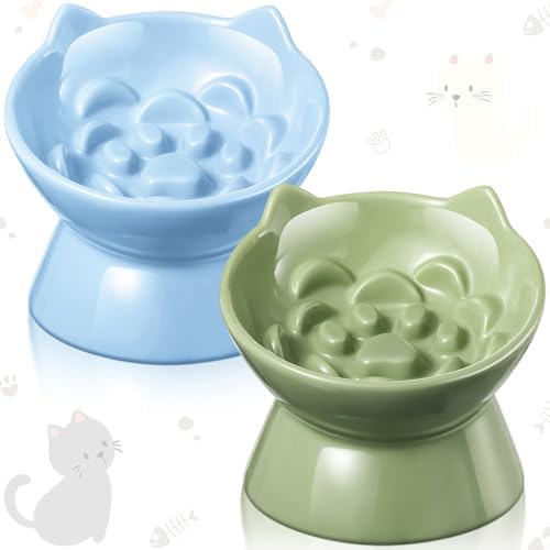 Funnymoom 2 Pcs Ceramic Raised Slow Feeder Cat Bowl, 5.91inch Elevated Cat Slow Feeder Bowl Tilted Anti Vomiting for Dry Wet Food and Water Easy to Clean High Edge(Green, Blue) by Funnymoom
