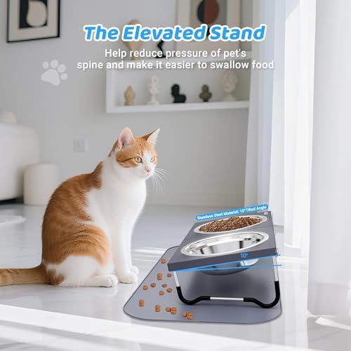 Upgraded Elevated Cat Bowls with Food Mat,10°Tilted Foldable Stand Anti Vomiting Raised Cat Dishes for Food and Water,2 Stainless Steel Bowls for Cats and Puppy(with Mat) - Image 2