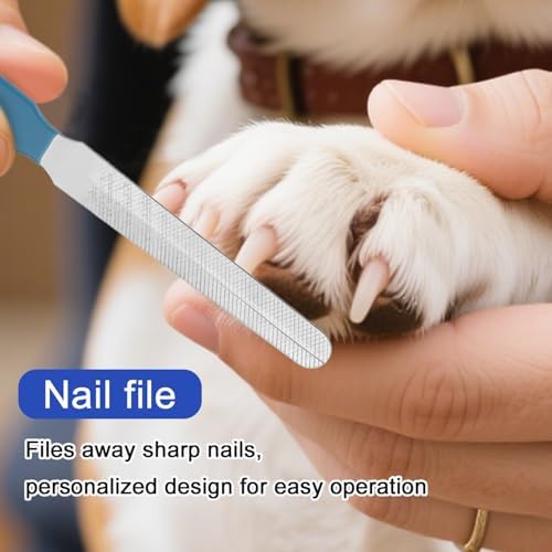 BOXOB Bearded Dragon Nail Clippers and File, Stainless Steel Small Animal Toe Nail Trimmer Scissors Professional Grooming Pet Tool for Reptiles Turtle Chameleon Iguana (Blue) - Image 6