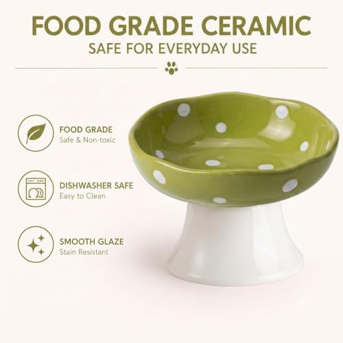 Mushroom Cat Bowl, Elevated Ceramic Cat Bowl, Avocado Green - Image 5