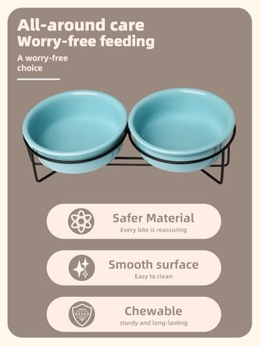 GDCZ Elevated Cat Bowl Stand, 11.6 in Metal Stand with 2 Removable 15 OZ Ceramic Bowls for Pet Food and Water, Stand Reduces Cat Neck Burden, Turquoise - Image 3