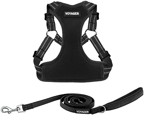 Best Pet Supplies Voyager Adjustable Step-in Flex Breathable Mesh Dog Harness for Small Medium Large Dogs Leash Set (Black), XL by BestPetSuppliesLLC