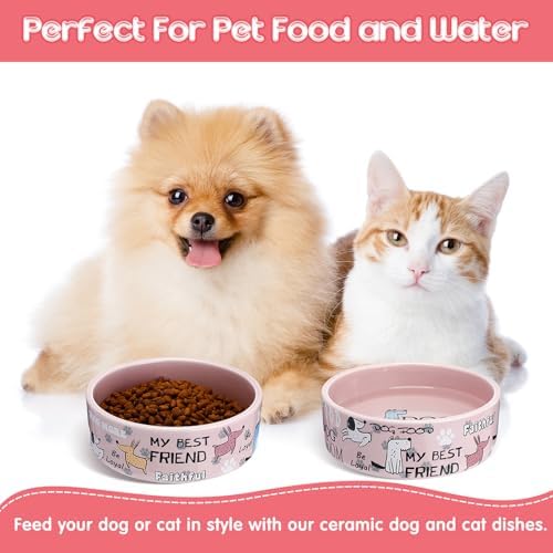 Maxcheck 2 Pcs 5 Inch Ceramic Dog Bowls Dishes for Small Dogs, Pink - Image 5