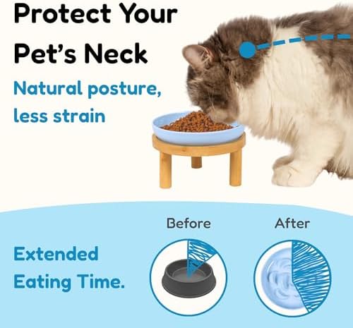 Slow Feeder Bowl, 6.3″ Elevated Cat Bowl with Stand, Melamine Wide Shallow Food Bowl, Whisker-Friendly Raised Plate, Wet Food Feeder for Slow Eating (Blue) - Image 2