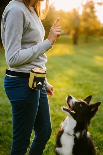 OllyDog, Goodie Treat Bag, Dog Treat Training Pouch | Magnetic Closure | 3 Ways to Wear | Hands-Free Waist Belt | Water-Resistant Recycled Vegan Fabric (Alchemy) - Image 3