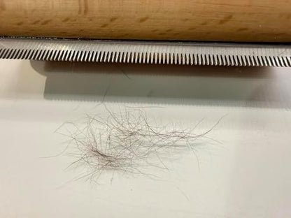 Dog Brush for Shedding Wooden Deshedding Tool Dogs Cats Grooming - Image 7