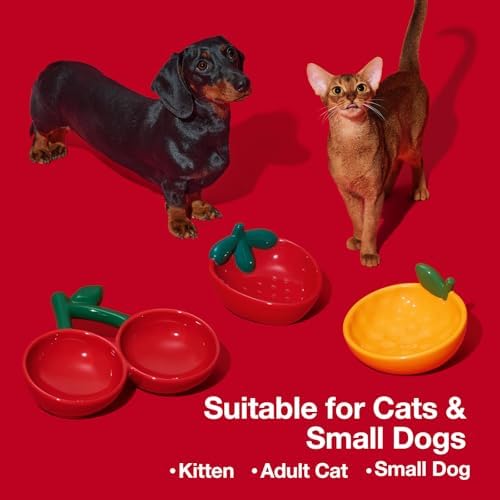 VETRESKA Ceramic Pet Bowl, Tilted Design Pet Feeder for Food and Water - Image 5