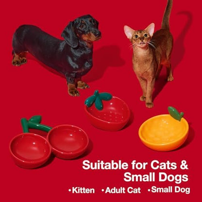VETRESKA Ceramic Pet Bowl, Tilted Design Pet Feeder for Food and Water - Image 5