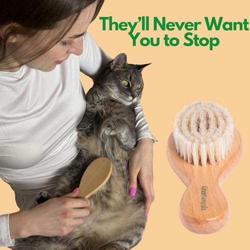 GranNaturals Boar Bristle Soft Cat Brush for Indoor, Outdoor, Short Haired Cats, Kittens, Small Dog, Rabbit, Furry Pets - Gentle Grooming on Sensitive Hair Coat & Tail with Durable Wooden Handle - Image 4