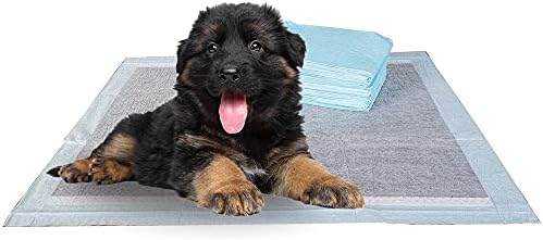 BV Charcoal Puppy Pads XL 40 Count 34"x28" - Leak-Proof Pee Pads for Dogs with 6-Layer Absorbent Design & Built-in Attractant - Dog Pad Extra Large with Charcoal for Odor Control - for Large Dogs by BV
