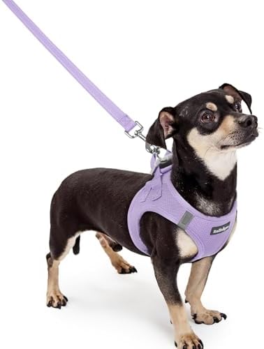 rabbitgoo Dog Harness Small Sized and Leash Set, Step-in Puppy Pet Vest by rabbitgoo
