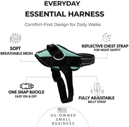 ShawnCo Essential Dog Harness, No-Pull Pet Vest (Seafoam,S) - Image 2