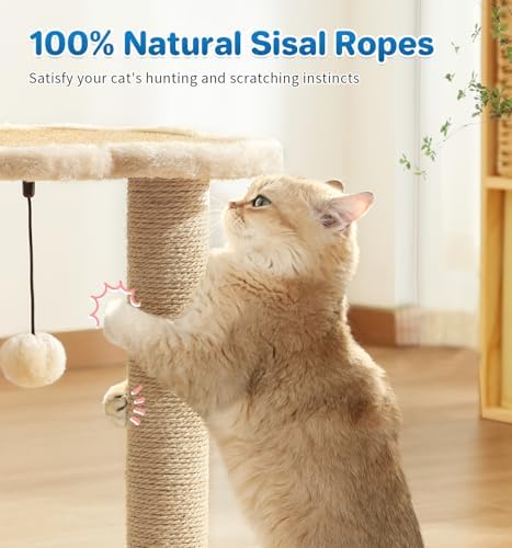 Made4Pets Kitten Toy Scratching Post with Self Groomer for Indoor Cats - Image 4