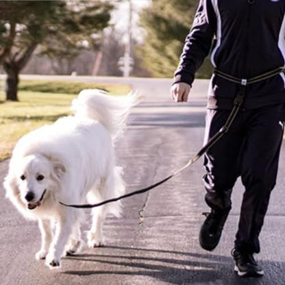 Caldwell's Pet Supply Co. Hands-Free Dog Leash, Adjustable Waist Leash for Dog Walking, Non-Bungee, Hands Free Harness, Durable and Versatile Waist Belt Leashes, Cross Body for Dogs (26" - 47") - Image 6
