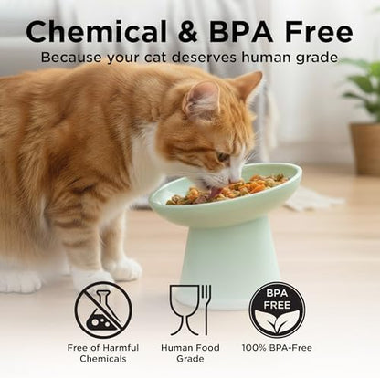 Necoichi BPA-Free Elevated Cat Food Bowls, 15° Tilted, 2-Pack (Smoky Mint) - Image 5