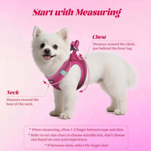 No Pull Dog Puppy Harness and Leash Set Reflective Mesh Vest Medium - Image 2