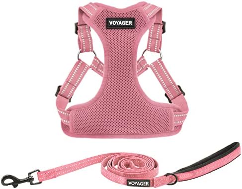 Best Pet Supplies Voyager Adjustable Step-in Flex Breathable Mesh Dog Harness for Small Medium Large Dogs Leash Set (Pink), M by BestPetSuppliesLLC