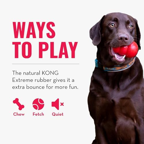 KONG Extreme Ball, Indestructible Rubber Dog Ball, for Small Dogs - Image 6