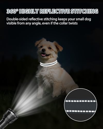 Joytale Feather-Light Dog Collar for Small Dogs & Puppies, 5/8", Gray - Image 5