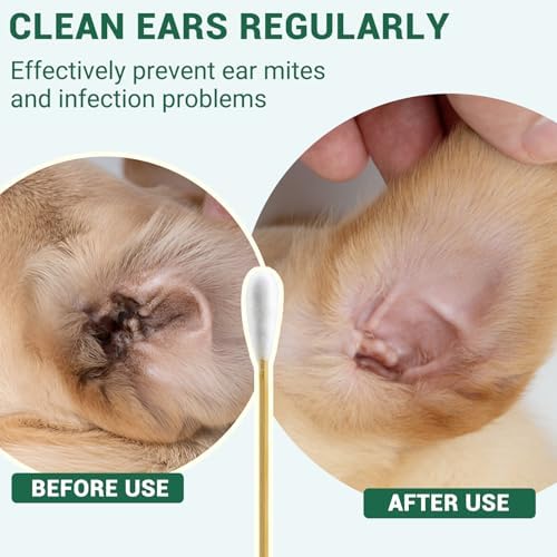100pcs Long Cotton Swab for Dogs Ear, Large Cleaning Cotton Buds in Case - Image 6