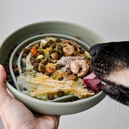 Slow Feeder Dog Bowl - Silicone Dog Bowl, Medium, 7.5" x 1.5" - Sage - Image 5